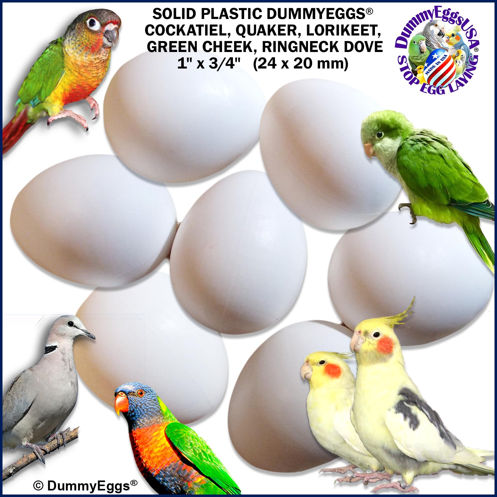 Dummy Cockatiel Eggs Stop Brooding Laying! 7 Plastic Solid Fake Dummy Bird Eggs: Dove, Quaker Parrot, Green Cheek De Brand Usa